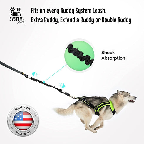 The Buddy System Accessories for Dog Leashes Made in USA (Shock Absorber, Regular Dog Black)
