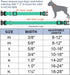 Taglory Reflective Adjustable Dog Collars for Small Medium Large Dogs, Thin Nylon Webbing, Quick Release Buckle (Teal
