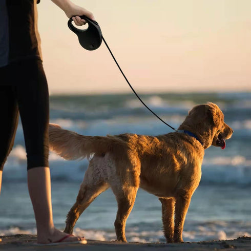 16Ft Retractable Dog Leash - Lightweight for Small to Medium Dogs/Cats Up to 50lbs, Tangle-Free with One-Handed Brake.