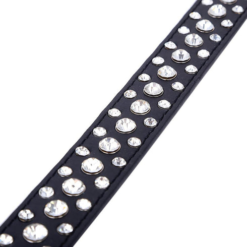 Dogs Kingdom Personalized Rhinestone Leather Bling Crystal Pet Dog Cat Collars, 12"-20" Length, Black S