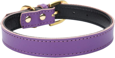 Basic Classic Padded Leather Pet Collars for Small Medium Dogs, Cats, Large (Neck 14.5"-18.5"), Purple