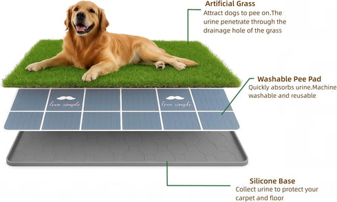 34x22 Inch Large Dog Grass Pad with Tray, Puppy Potty Training System with Artificial Grass & Pheromone Pee Pad