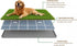 34x22 Inch Large Dog Grass Pad with Tray, Puppy Potty Training System with Artificial Grass & Pheromone Pee Pad