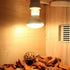 100W Basking Spot Heat Lamp Bulbs, 110V Reptile Mercury Vapor Bulbs for Reptile and Amphibian Use (2 Pack)