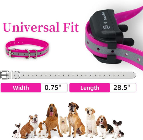 Replacement ¾” Collar Strap Bands with Double Buckle Loop for Pet Shock Bark Collars and Fences