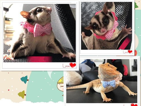 Lizard Bearded Dragons Stretchy Bowtie - Handmade Pink White Plaid Collar with Elastic Lace Decor for Reptiles