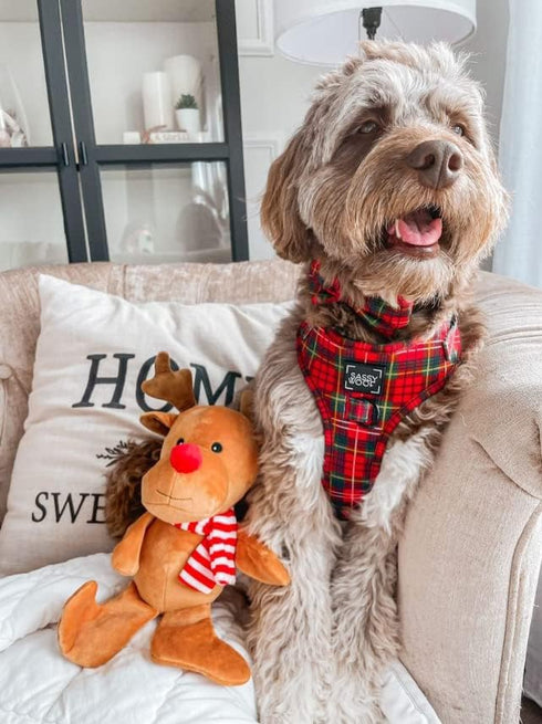 Midlee Christmas Reindeer Plush Dog Toy with Scarf, Squeaky Holiday Pet Gift