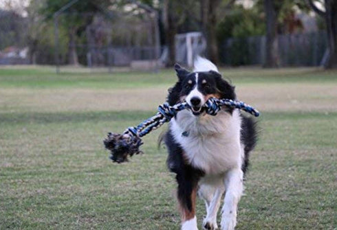 XL Dog Rope Toy for Aggressive Chewers - Nearly Indestructible, Durable Dog Toys for Large Dogs, Blue