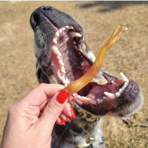 Beef Tendons for Dogs, USA Made, Grass Fed, All Natural Dental Chews, Grain Free, Odor Free, 8 OZ