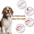 Lavender Purple Retractable Dog Leash 10 ft for Small Medium Dogs and Cats, One Button Control by LFCXHTY