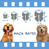 Maca Bates Thanksgiving Day Halloween Checkered Dog Collar with Grid Bow Plaid Bowtie, Adjustable Cute Collars for