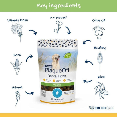 ProDen PlaqueOff System Dental Care Bones for Dogs, Vegetable, 17 oz