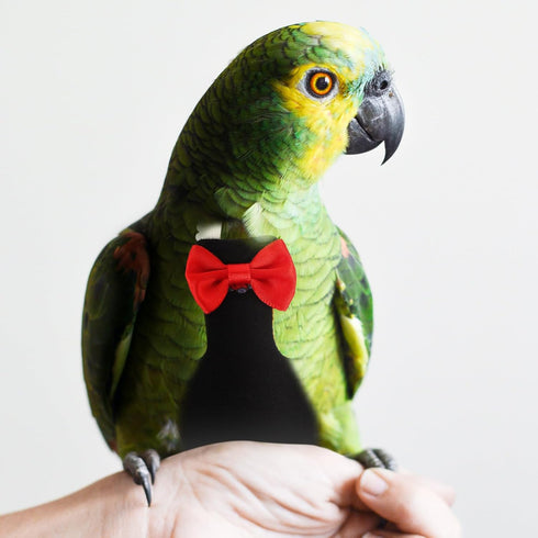 Reusable Bird Parrot Diaper Clothes Flight Suit with Bow Washable Soft Fabric Small Size for Outdoor Pet Bird Nappies