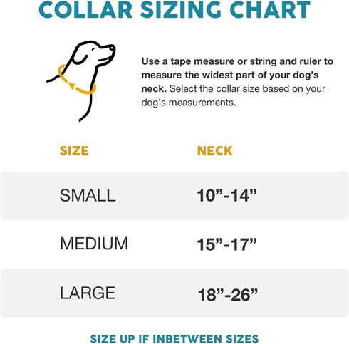 Embark Adventure Dog Collar – Stylish & Durable Nylon Collars for Small Dogs, Adjustable with Strong Buckles
