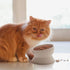 Y YHY Elevated Cat Food Bowl, Raised Pet Food and Water Bowl for Cat and Small Dog, 15oz, Dishwasher Safe