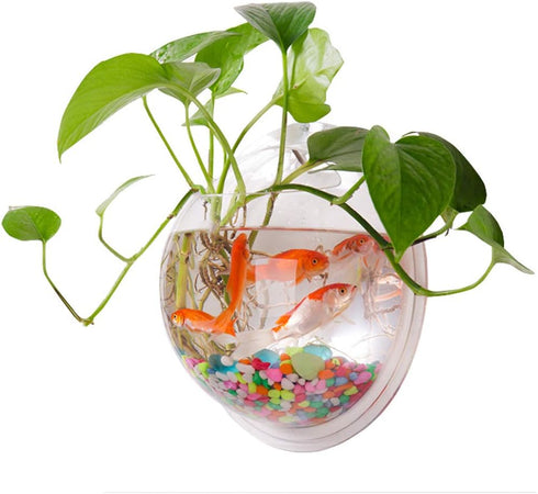 2PCS Wall Hanging Fish Tanks | Clear Acrylic Round Fish Tanks Flower Pot Vase for Hydroponics