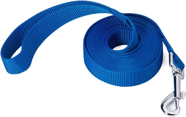 Strong Durable Nylon Dog Training Leash, 1 Inch Wide Traction Rope, 6ft 10ft 15ft Long for Small Medium Dog (Blue, 10