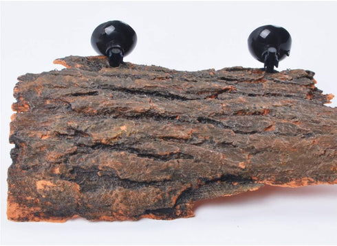 Flushbay Turtle Floating Basking Platform, Aquarium Decorations with Suction Cups for Tortoise Climbing