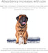 Pet Parents Premium Washable Belly Bands for Male Dogs, 3 Pack of Diapers & Belly Bands, Color: Kahuna, Size: Extra