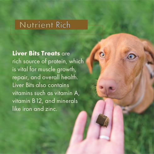Liver Bits Treats for Dogs, 4 oz, Freeze Dried Training Treats, 100% Natural Raw Beef Liver
