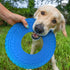 Nerf Dog Tire Flyer Outdoor Dog Toy - 10 Inch Flying Disc for Medium and Large Dogs, Blue