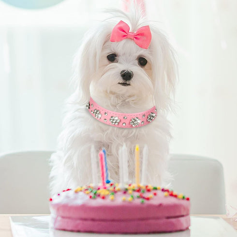 2 Pieces PU Leather Dog Collar, Pink Rhinestone Pet Collar with Flower Pattern, Adjustable Bling Puppy Collar (S:11-13