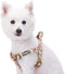 Blueberry Pet 9 Patterns Step-in Spring Scent Inspired Pink Rose Print Ivory Dog Harness, Adjustable for Chest Girth