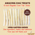 Amazing Dog Treats - Cow Tail Dog Chews (6 Inch Regular - 6 Pack) - Sourced from 100% Grass Fed Cattle - All Natural - Long Lasting Chew for Dogs - Rawhide Alternative for Dogs