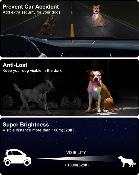 DAAMENT 2 Pack 4 Dog Collar Light, Modes Clip On Dog Lights for Night Walking, Glow in The Dark LED Pet Collar Charm