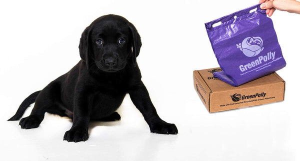 Pet Waste and Dog Poop Bags, 250 Count, Made with 100% Renewed