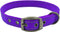 Max and Neo MAX Reflective Dog Collar - Medium, Purple - We Donate a Collar to Dog Rescue for Every Collar Sold
