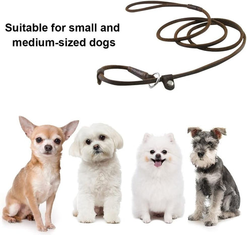 DONGKER Dog Slip Lead - 5ft 2-in-1 Leather Pet Training Walking Leash for Small Medium Large Dogs