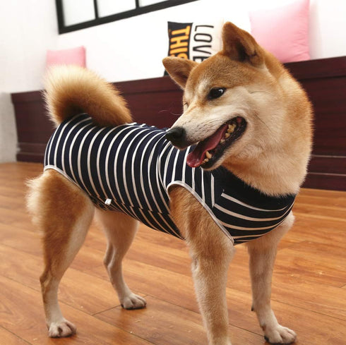 Dog Recovery Suit for Abdominal Wound - Puppy Surgical Clothes Post-Operative Vest, Substitute E-Collar & Cone (S, Blue