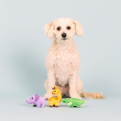 Fringe Studio Plush Dog Toy Set, Small 3 Piece Set, Wild Times, Pet Shop Collection (662052)