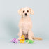 Fringe Studio Plush Dog Toy Set, Small 3 Piece Set, Wild Times, Pet Shop Collection (662052)