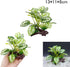 Smoothedo-Pets Aquarium Decor, 3pcs Betta Silk Leaf Pad Hammock and Artificial Driftwood Cave