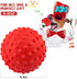 RHL Dog Squeaky Toys for Aggressive Chewers - Large Breed Balls Interactive Toy for Medium Small Dogs