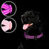 azuza 2 Pack Neoprene Padded Dog Collar for Small Dogs, Reflective Adjustable Safe and Comfy Collars, Purple/Pink, XS
