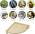 Litewoo Bird Perch Corner Platform Stand Shelf for Birds Budgie Parakeet Cockatiel Conure CockatooPlatform