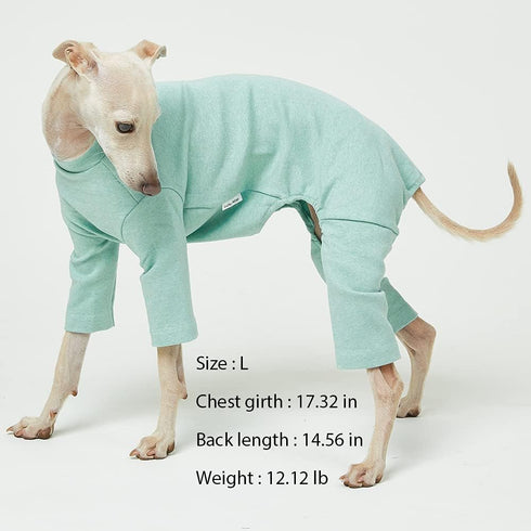 Basic Dog Pajamas in Pastel Mint, Durable and Elastic Dog Onesie Apparel for Large Dogs