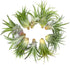 5.75" Glass Puppy Dog Terrarium Kit with Air Plant - Blue