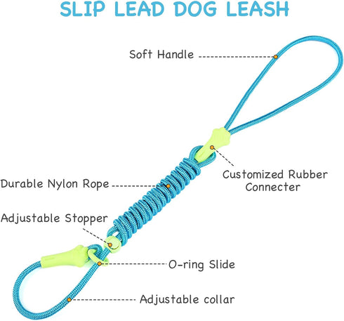 DaFuEn 6 FT Lightweight Dog Slip Lead, Classic Training Leash for Small Medium Puppies, No-Pull Slip Leash and Collar
