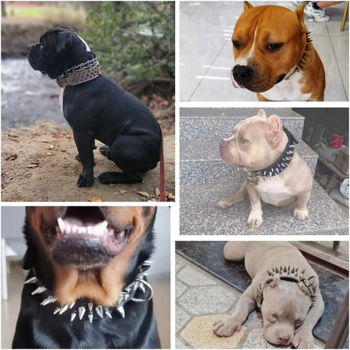 The Mighty Large Spiked Studded Dog Collar, Durable & Stylish Protection for Large Dogs, Blue Size S