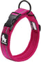 Truelove TLC5011 Dog Collar - Reflective Premium Duraflex Buckle, High Grade Nylon Webbing, Fuchsia, L