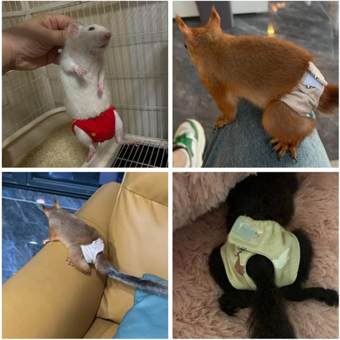 (3pc, Squirrel Diapers-Highly Absorbent with Strong & Flexible Hook and Loop Pants No Leak Reusable Diapers Urine Wet