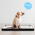 4 33 23 Inch FoldTier Dog Pee Pad Holder with Fixing Clips x Extra Large Foldable Potty Pads Puppy Pad Holder Tray