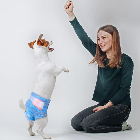 Disposable Dog Diapers for Female Dogs, Pet Soft Dog Diapers, Cat Diaper for Female Cats, Puppy Diaper 8pcs XSmall