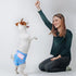 Disposable Dog Diapers for Female Dogs, Pet Soft Dog Diapers, Cat Diaper for Female Cats, Puppy Diaper 8pcs XSmall