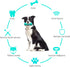Toothbrush Dog Chew Toy, Stick Bone for Dog Teeth Cleaning, Dental Oral Care for Small, Medium, Large Dogs (Blue)