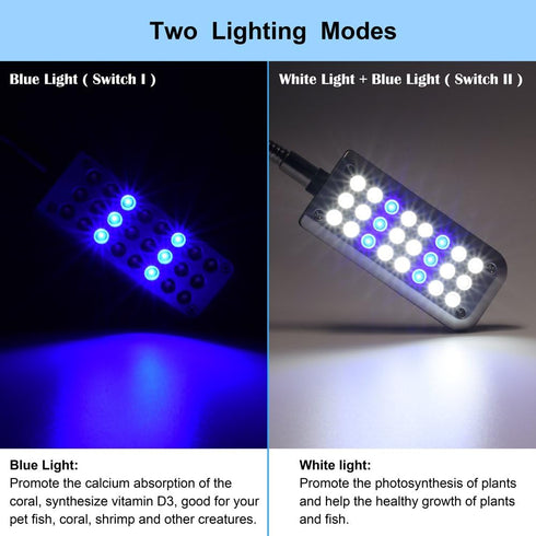 Small LED Clip Light for Fish Tank, Aquarium Light, 1 Yr Warranty